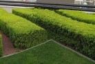 Narridycommercial-landscaping-1.jpg; ?>